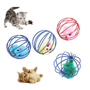 Ball Mouse in Cage