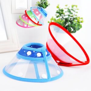 CAT AND KITTEN SOFT E COLLOR SMALL