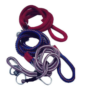 Cats and Dogs leash