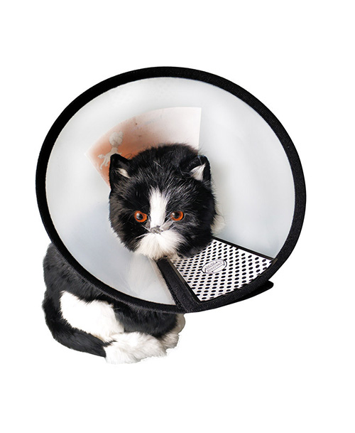 E Collar cat kitten size No 6