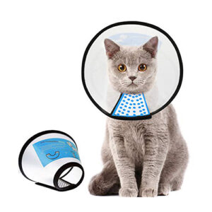 E Collar kitten size No 7