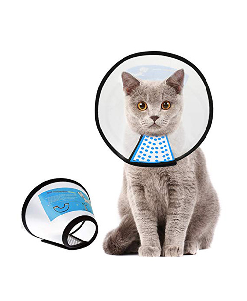 E Collar kitten size No 7