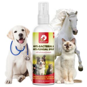 Fluff n Buff Anti Bacterial & Anti Fungal Spray 100 ml