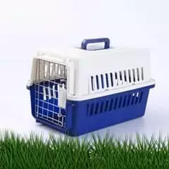 JET BOX IMPORTED LARGE