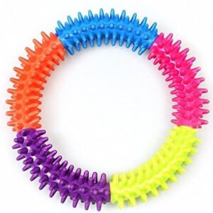 Ring Teather for Cats and Dogs (Large)