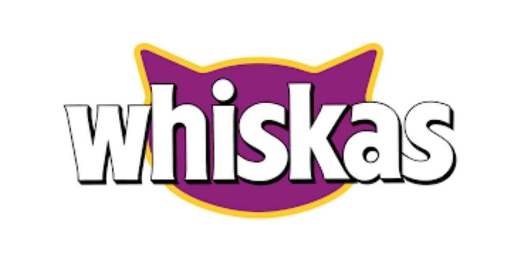 WhatsApp Image 2026-01-05 at 3.31.41 PM(1)